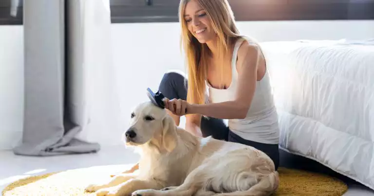 Indoor Pet Allergies – Reduce Dander With Better Cleaning post thumbnail image