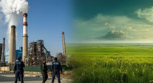 Environmental Fine Questions - Review Notices Before Paying Penalties